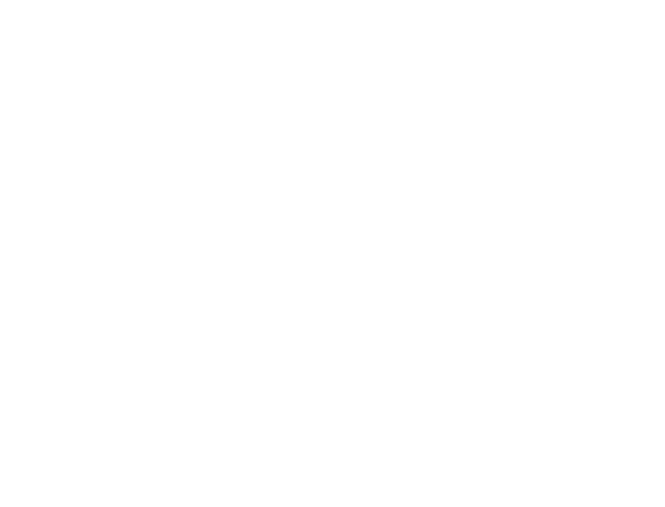 Sting Sports